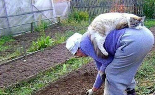 С праздником весны и труда!